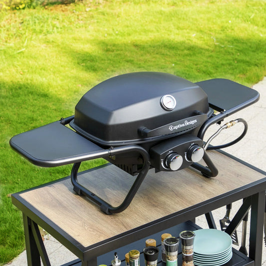 2 Burner 15,000 BTU Portable Propane Gas Grill